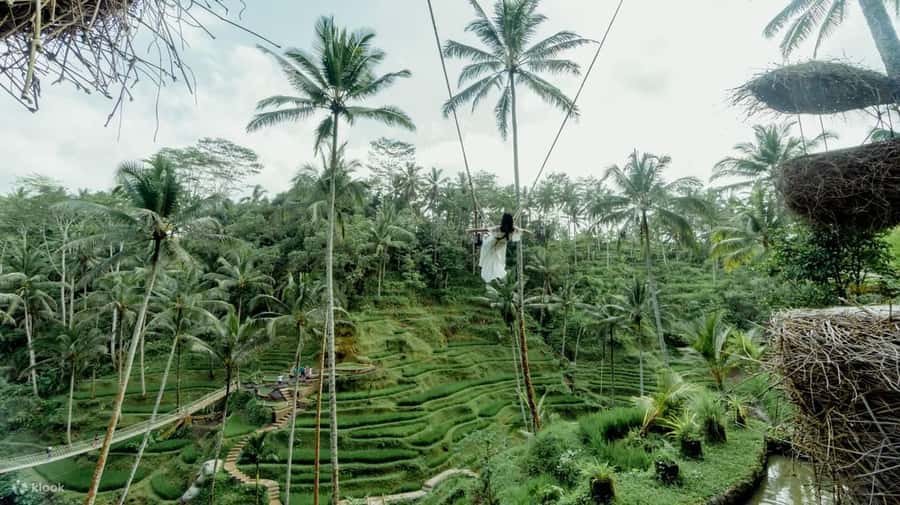 BALI SHORE EXCURSIONS: EXPLORING THE EXOTIC OF BALI - How the 10-hour cruise-day schedule usually plays out