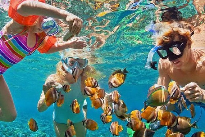 Bali Snorkeling at Blue Lagoon with Transport and Lunch - Door-to-door transport from Ubud and popular Bali beach areas