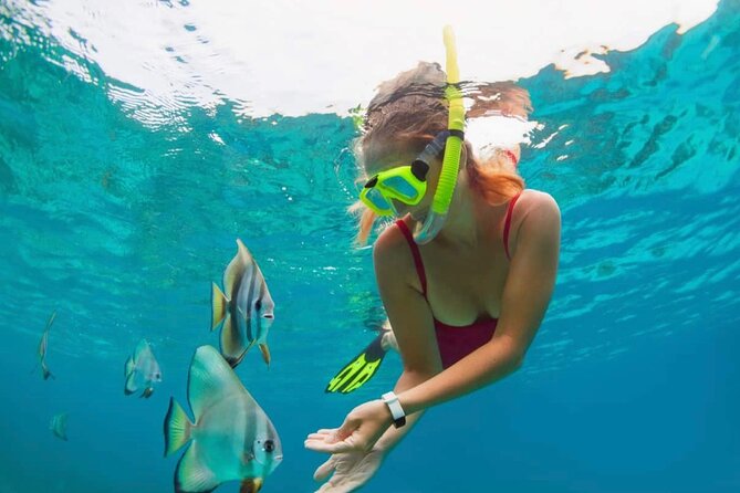 Bali Snorkeling at Blue Lagoon with Transport and Lunch - Blue Lagoon plus Tanjung Jepun: how the snorkeling day is paced
