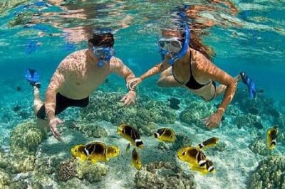 Bali Snorkeling at Blue Lagoon with Transport and Lunch