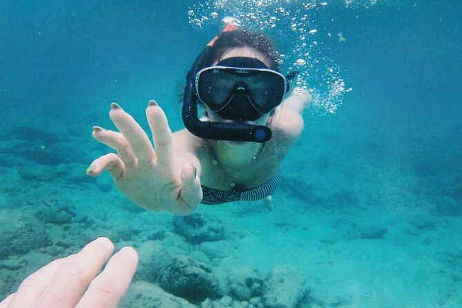 Bali Snorkeling at Blue Lagoon with Transport and Lunch - Should you book this Blue Lagoon and Tanjung Jepun snorkeling day?