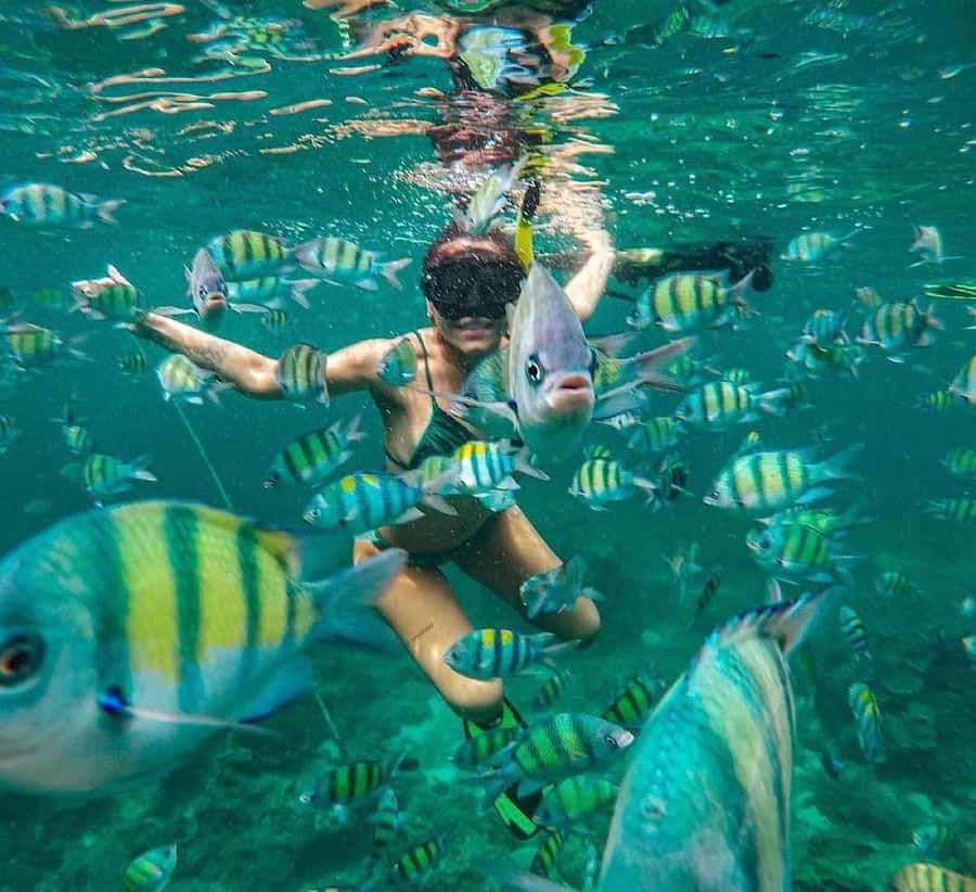 Bali : Snorkeling at two Spots with Lunch and transport - Key Points to Know Before You Go