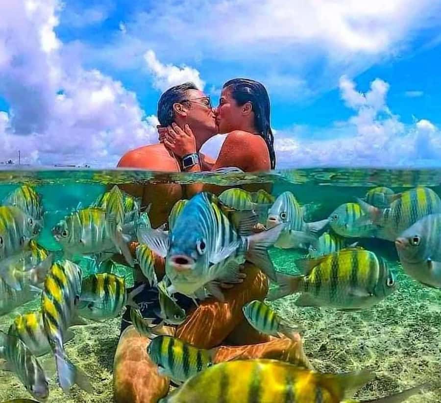 Bali : Snorkeling at two Spots with Lunch and transport - Crossing to Tanjung Jepun: Short Boat Transfer, New Underwater Scene