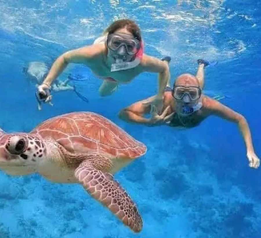 Bali : Snorkeling at two Spots with Lunch and transport - Tanjung Jepun Snorkeling: Gentle Currents and Hidden Creatures