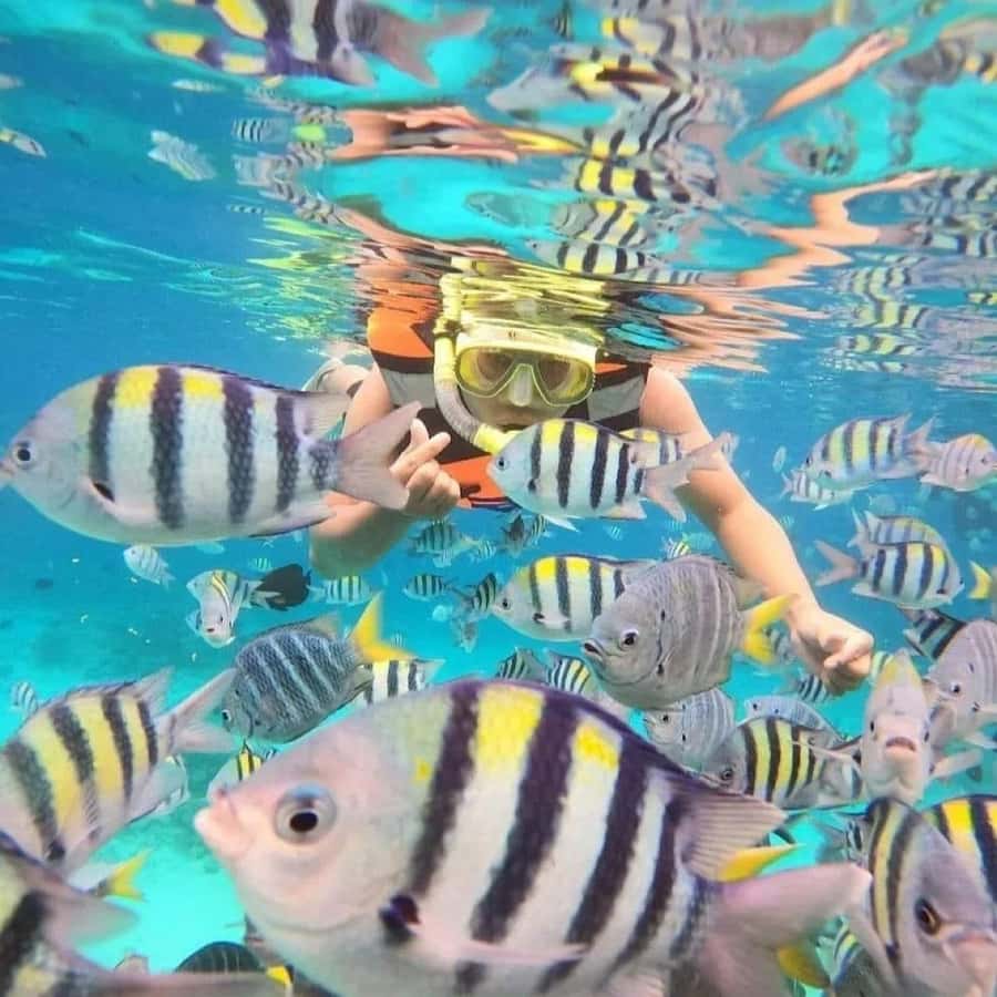 Bali : Snorkeling at two Spots with Lunch and transport - Lunch Break in Bali: Indonesian Food and Time to Reset