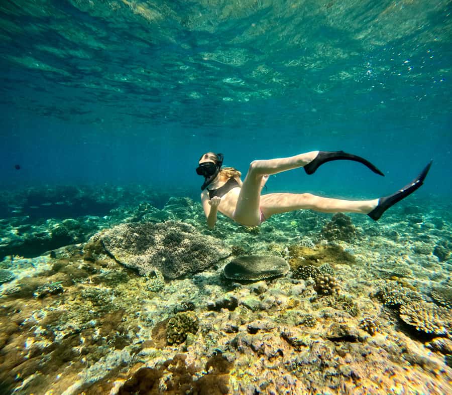 Bali: Snorkeling Blue Lagoon 2 Spot & Lunch optional Village - Key Things I’d Put on Your Radar