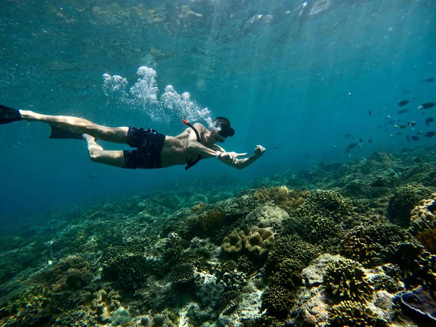 Bali: Snorkeling Blue Lagoon 2 Spot & Lunch optional Village - Tanjung Jepun: Artificial Reefs, Coral Gardens, and Fish Life