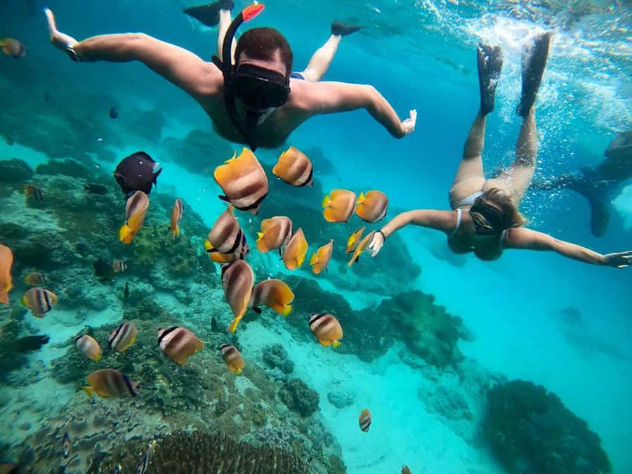 Bali Snorkeling: Blue Lagoon and Tanjung Jepun All Inclusive - Key things I think you will care about