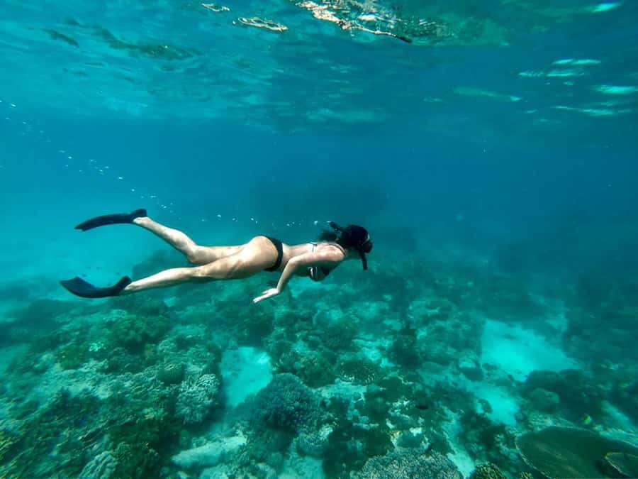 Bali Snorkeling: Blue Lagoon and Tanjung Jepun All Inclusive - Blue Lagoon and Tanjung Jepun: what this trip is really about