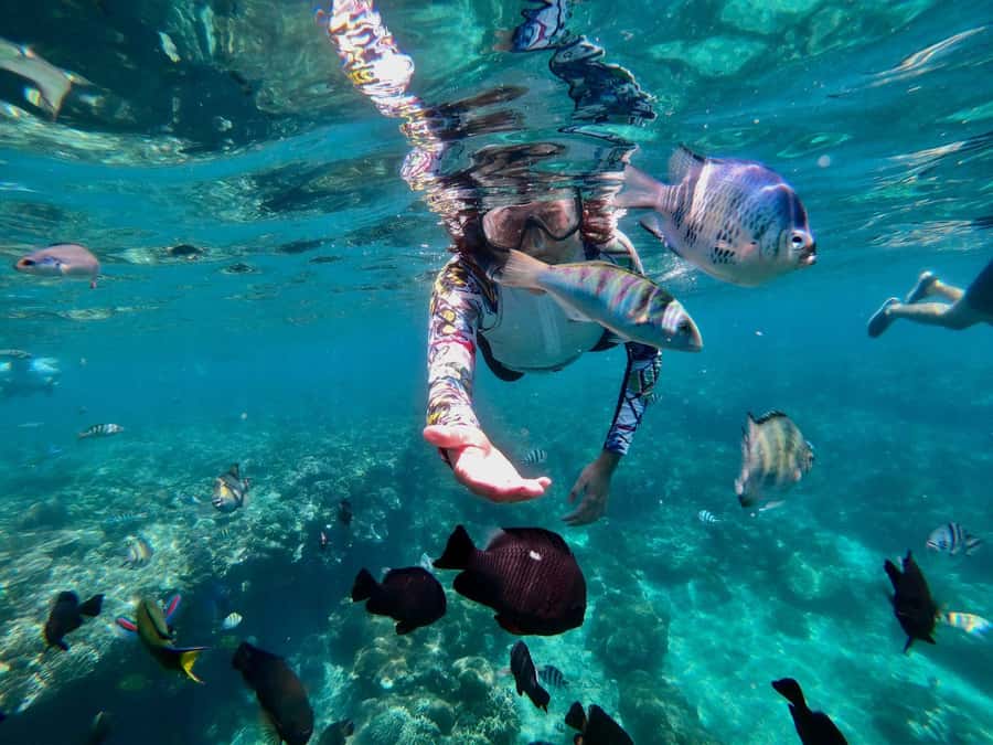 Bali Snorkeling: Blue Lagoon and Tanjung Jepun All Inclusive - Tanjung Jepun: a second view, with a few condition checks