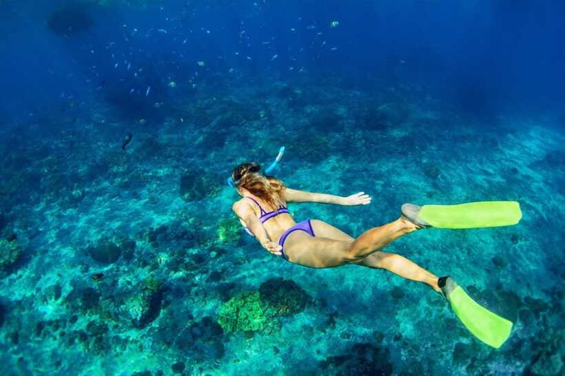 Bali Snorkeling: Blue Lagoon and Tanjung Jepun All Inclusive - Price and value: is $48 a fair deal?