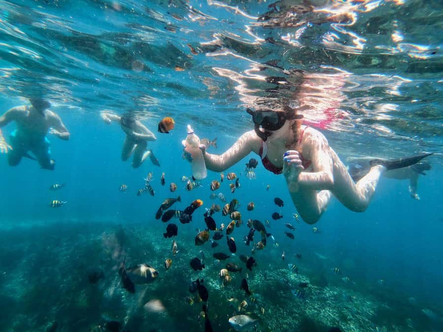 Bali Snorkeling: Blue Lagoon and Tanjung Jepun All Inclusive - Who this tour is best for (and who should skip it)