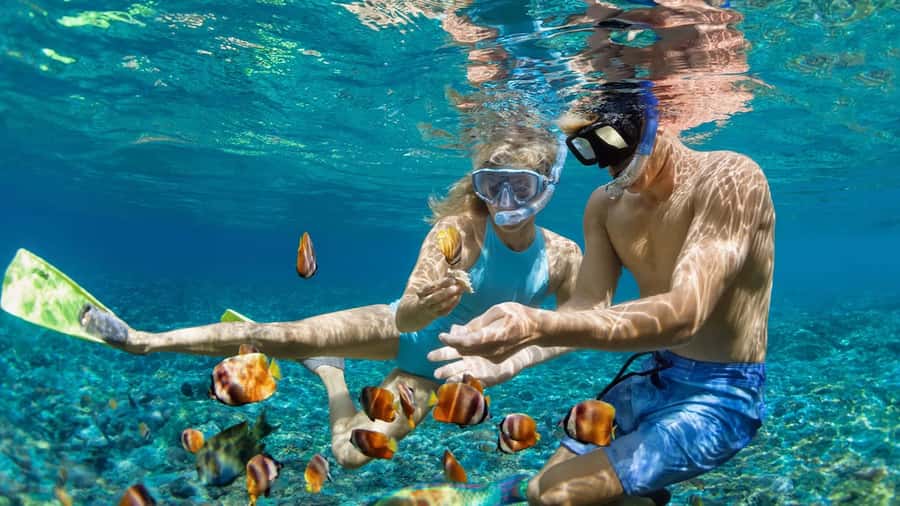Bali Snorkeling: Blue Lagoon and Tanjung Jepun All Inclusive - Pickup and the logistics that can make or break your day