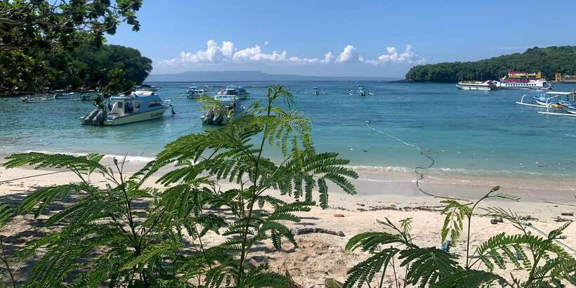 Bali: Snorkeling on 2 spots with Lunch and Transport - Key highlights before you go