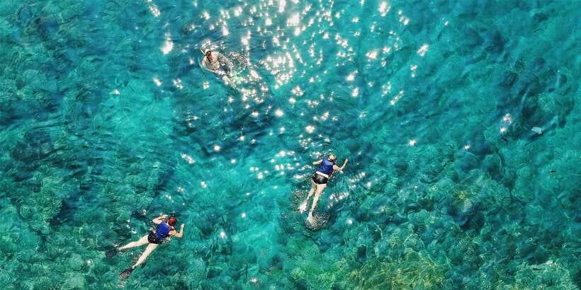 Bali: Snorkeling on 2 spots with Lunch and Transport - Two-spot Bali snorkeling, Blue Lagoon plus Tanjung Jepun