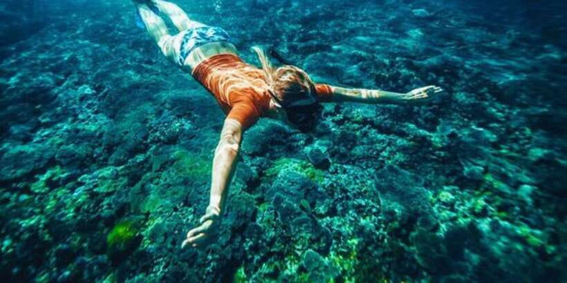 Bali: Snorkeling on 2 spots with Lunch and Transport - Stop 2 at Tanjung Jepun: calmer coral gardens and lots of fish