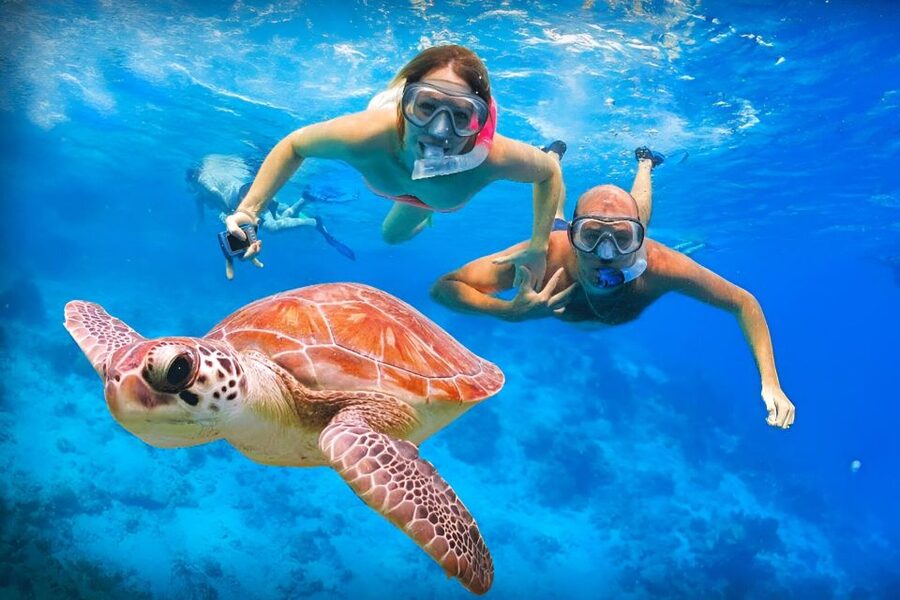 Bali: Snorkeling on 2 spots with Lunch and Transport - Boats, gear, and how the guides keep it smooth