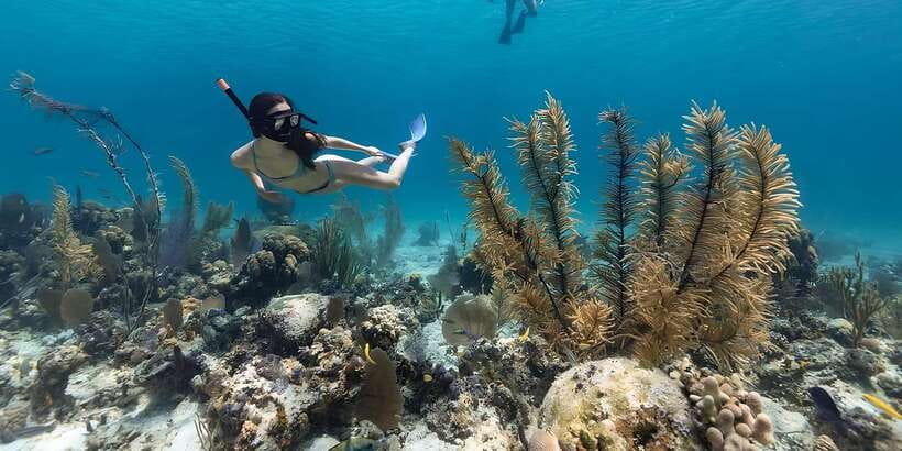 Bali: Snorkeling on 2 spots with Lunch and Transport - Price and value: $51 with transport, gear, and lunch included