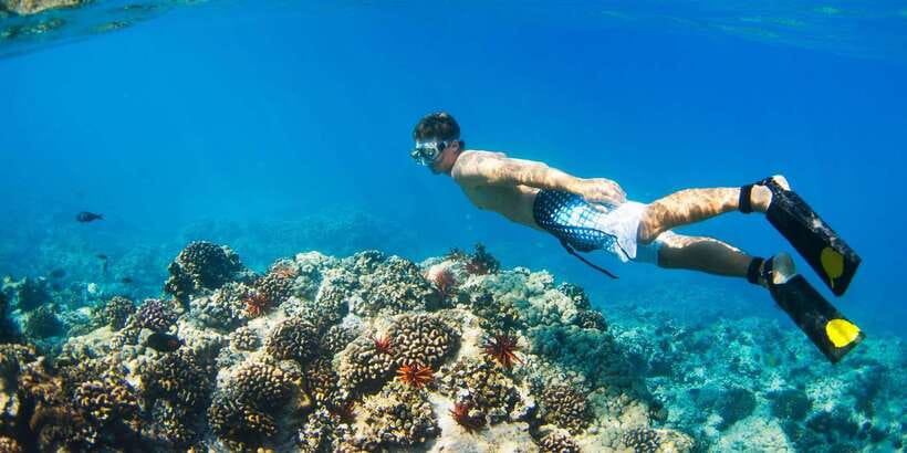 Bali: Snorkeling on 2 spots with Lunch and Transport - Who this snorkeling package fits best in Bali