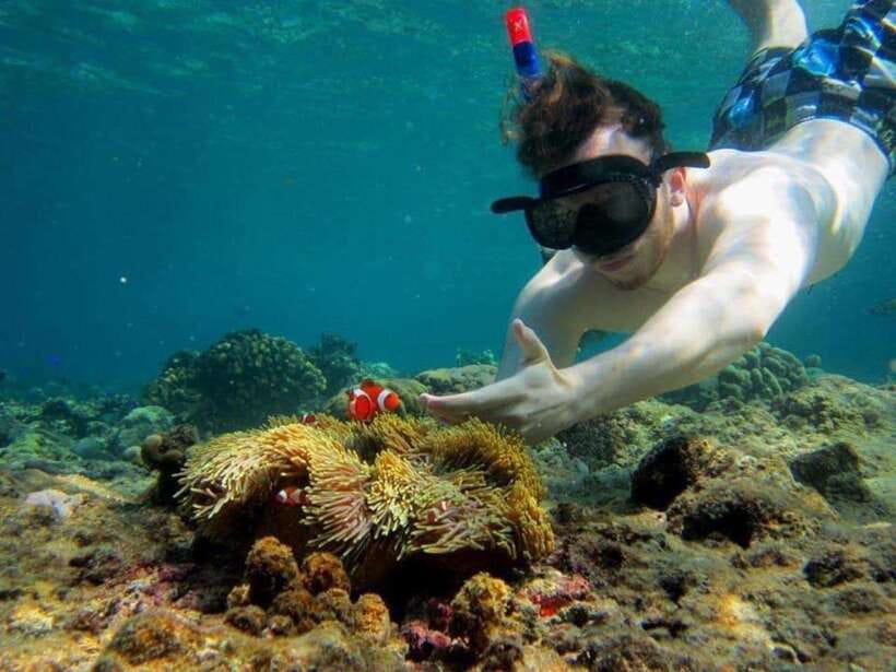Bali: Snorkling Blue Lagoon Beach include Lunch & Transport - Key highlights worth your attention