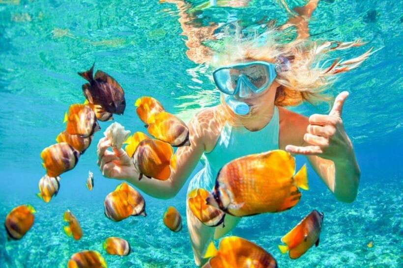 Bali: Snorkling Blue Lagoon Beach include Lunch & Transport - Marine life you can realistically spot near the coral reefs
