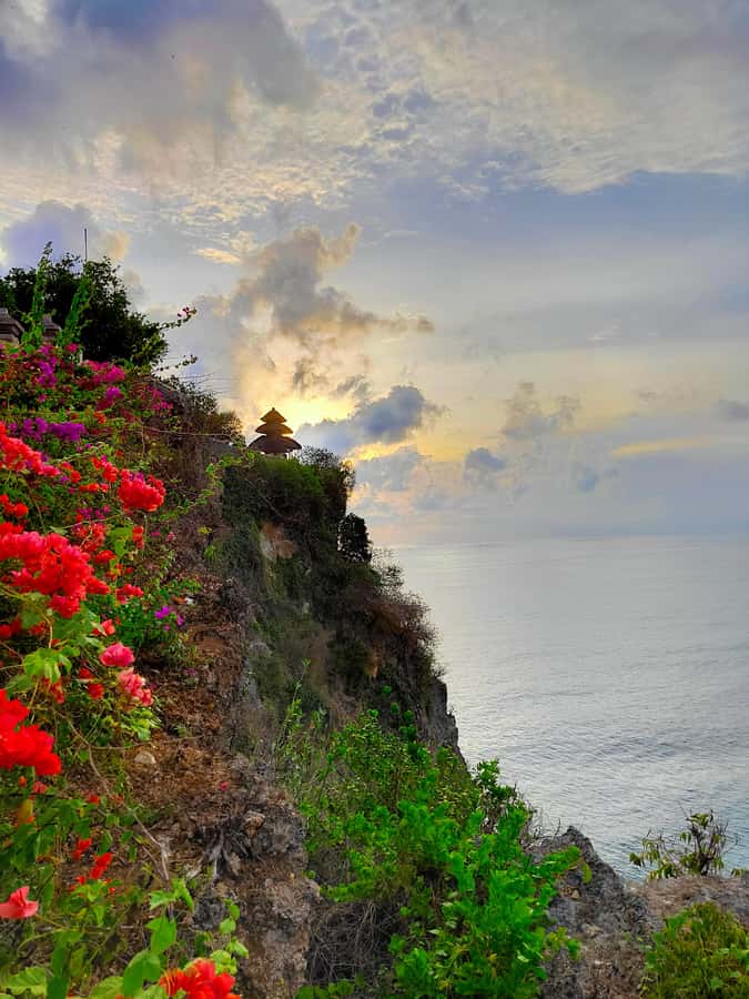 Bali: South Kuta, GWK, Uluwatu Temple, and Water Sport - Coffee Luwak Bukit Sari, A Tasting Stop That Fits the Route