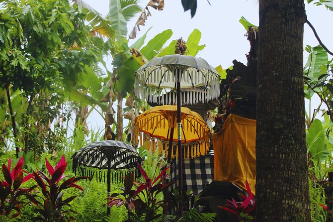 Bali Spiritual: Blessing Ceremony, Pristine Nature and Transfer - Key highlights you will actually feel