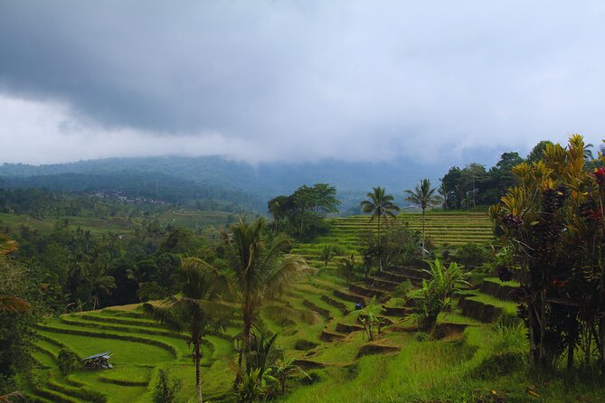 Bali Spiritual: Blessing Ceremony, Pristine Nature and Transfer - Balikaru village garden walk and homemade lunch at the warung