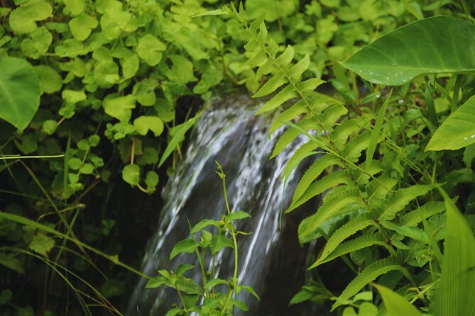 Bali Spiritual: Blessing Ceremony, Pristine Nature and Transfer - The 7:30 am start and why the drive matters