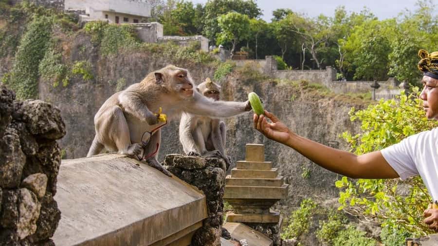 Bali: Sunset Uluwatu Temple & Kecak Fire Dance Private Tour - Who should book this private Uluwatu sunset tour