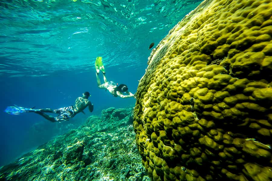 Bali: Swim with Manta Rays in Penida, Optional Lunch & Kayak - Serangan Port to Nusa Lembongan, the part you should care about
