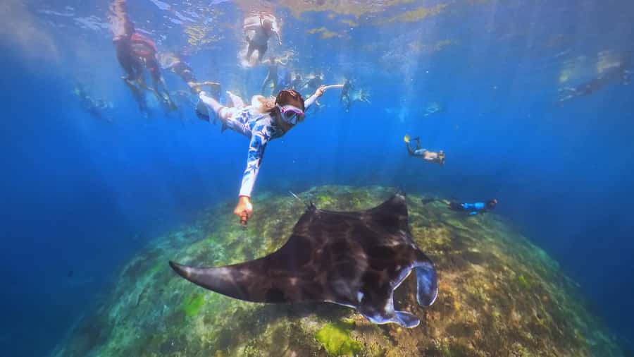 Bali: Swim with Manta Rays in Penida, Optional Lunch & Kayak - Green Lagoon on Lembongan, kayaking after lunch is the smart cooldown