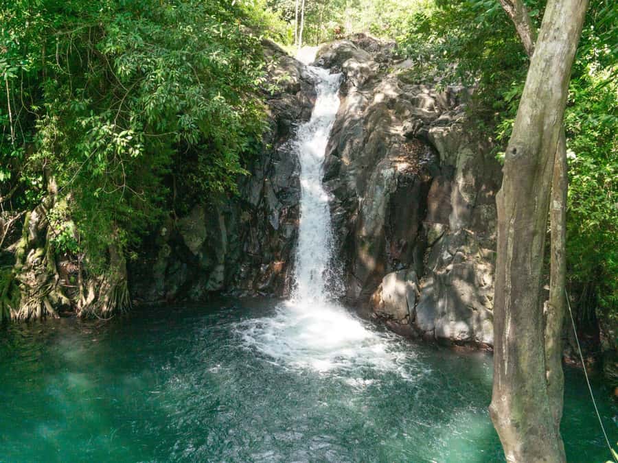Bali: Swimming with dolphin & waterfal tour, all inclusive. - Why Lovina’s Sunrise Dolphin Swim sets the tempo