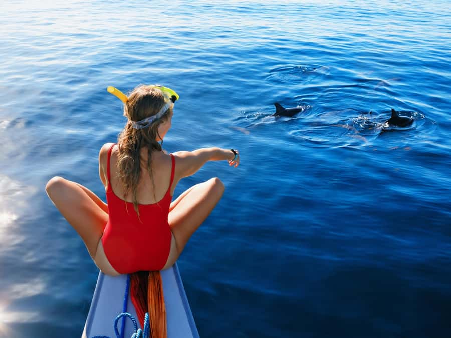 Bali: Swimming with dolphin & waterfal tour, all inclusive. - Aling-Aling Waterfall hike: cool spray, real trail time, and quiet breaks