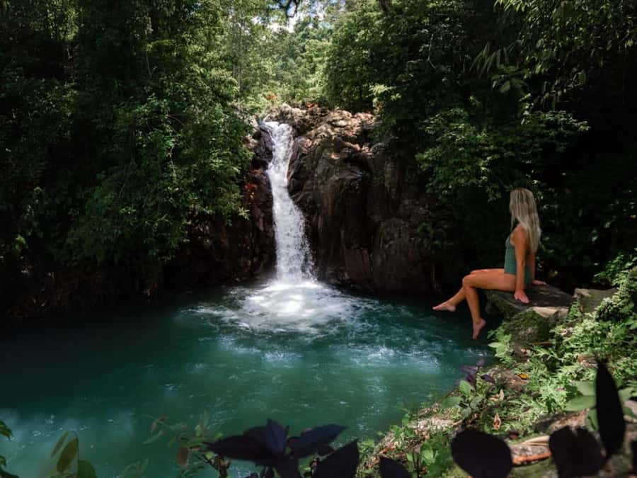 Bali: Swimming with dolphin & waterfal tour, all inclusive. - The dolphin part: what you actually do, and what to watch for
