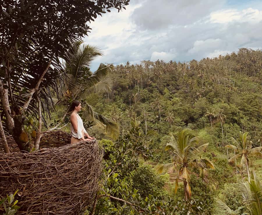 Bali: Swing with Falls, Rice Terrace, & Monkey Forest Option - Pengelipuran Village or Monkey Forest: Pick the Culture Fit for You