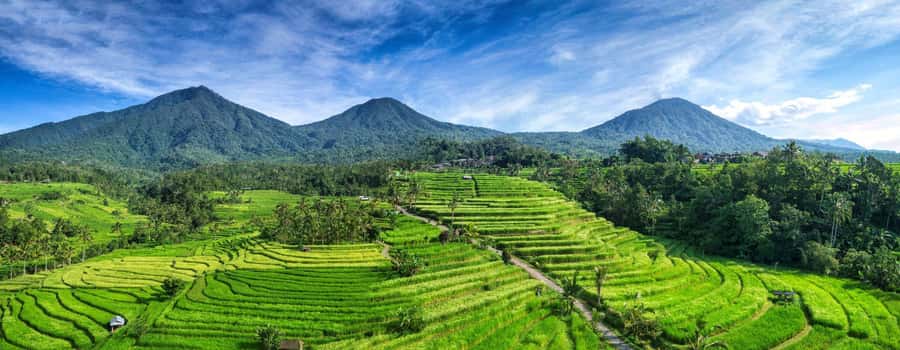 Bali: Taman Ayun, Jatiluwih, Ulun Danu, and Monkey Forest - Taman Ayun Temple: a moated start that feels calmer than most