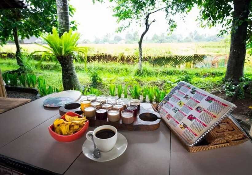 Bali: Taman Ayun, Jatiluwih, Ulun Danu, and Monkey Forest - How the day flows in 10 hours, and why timing matters