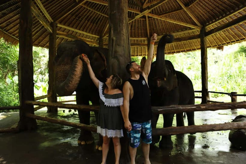 Bali: Taman Safari and Elephant Feeding with Hotel Transfer - Entering Taman Safari Bali, What Makes This Day Different
