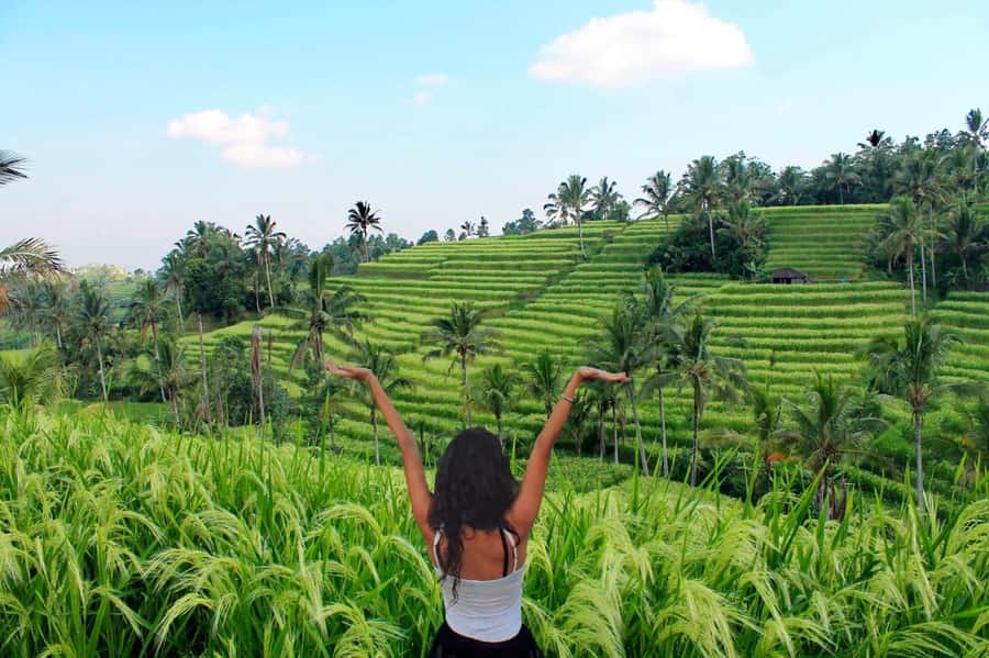 Bali: Tanah Lot, Jatiluwih Terrace, & Ulundanu Beratan Tour - Timing, walking level, and who should book this