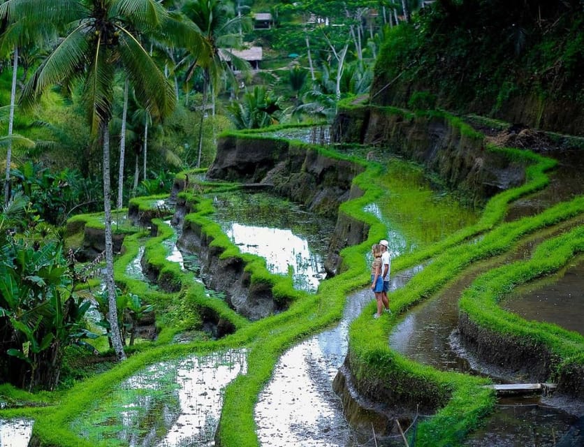 Bali: Tanah Lot, Jatiluwih Terrace, & Ulundanu Beratan Tour - What to pack and how to dress for an easy day