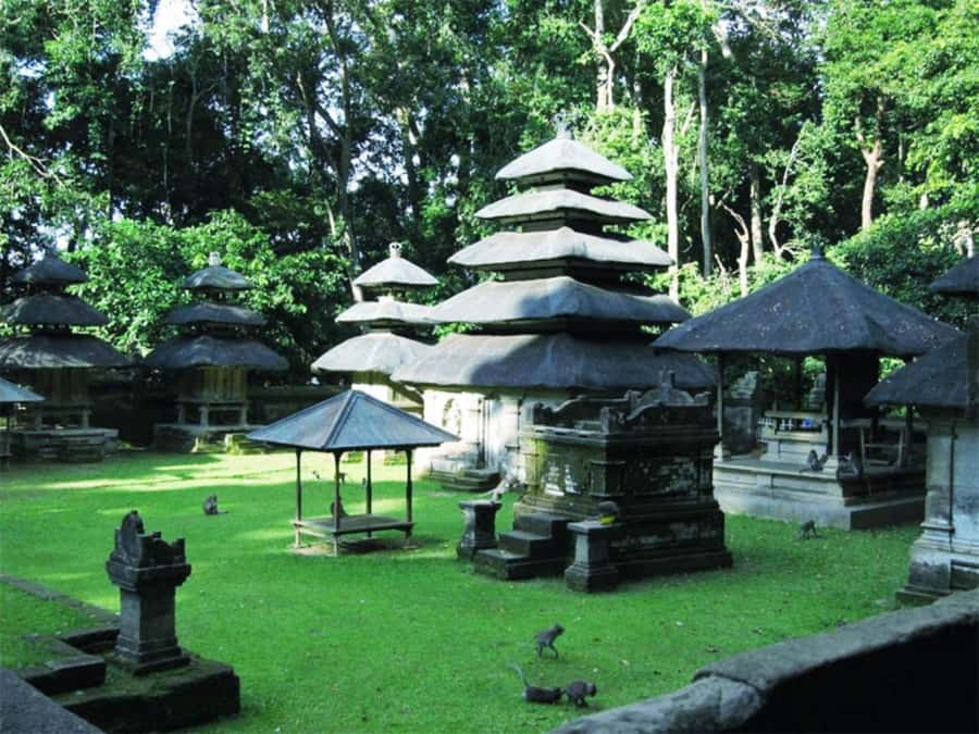 Bali : Tanah Lot Temple Tour with Sunset Dinner - Key moments worth building your day around