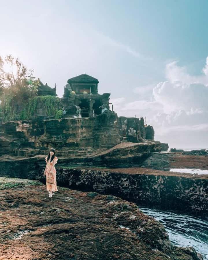 Bali : Tanah Lot Temple Tour with Sunset Dinner - Alas Kedaton Monkey Forest: tame monkeys, real rules, good photo potential