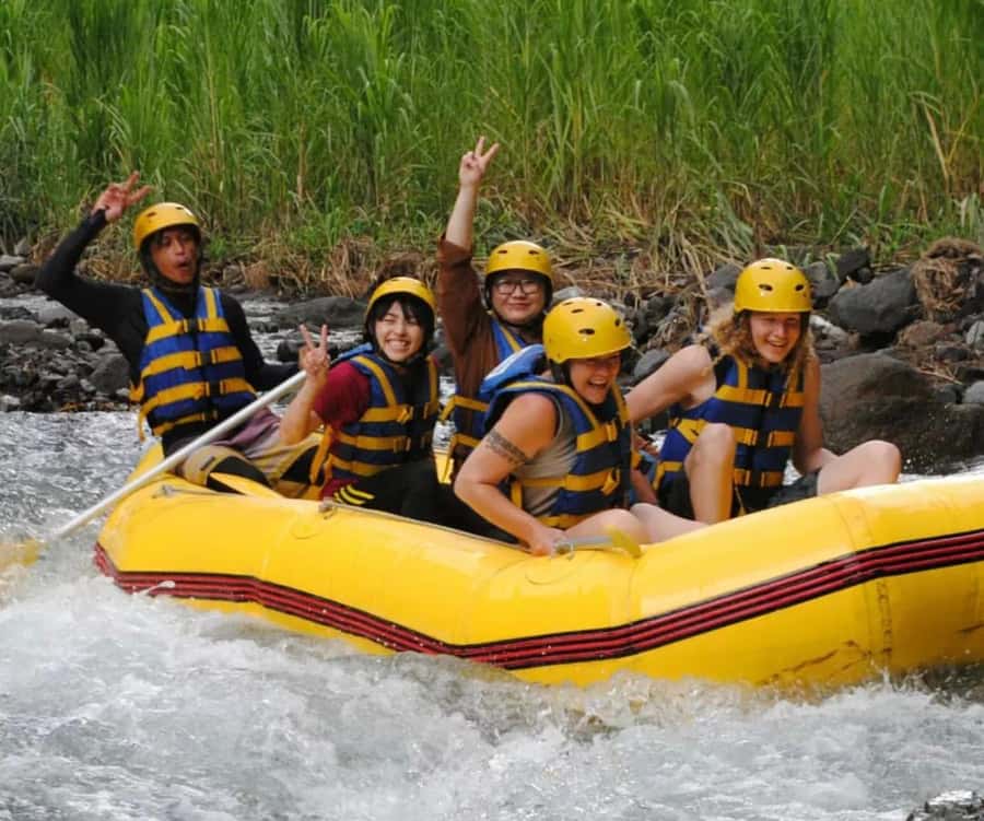 Bali: Telaga Waja River Rafting Small-Group Tour with Lunch - Getting Briefed and Suited Up: Safety Gear and Real Instructions