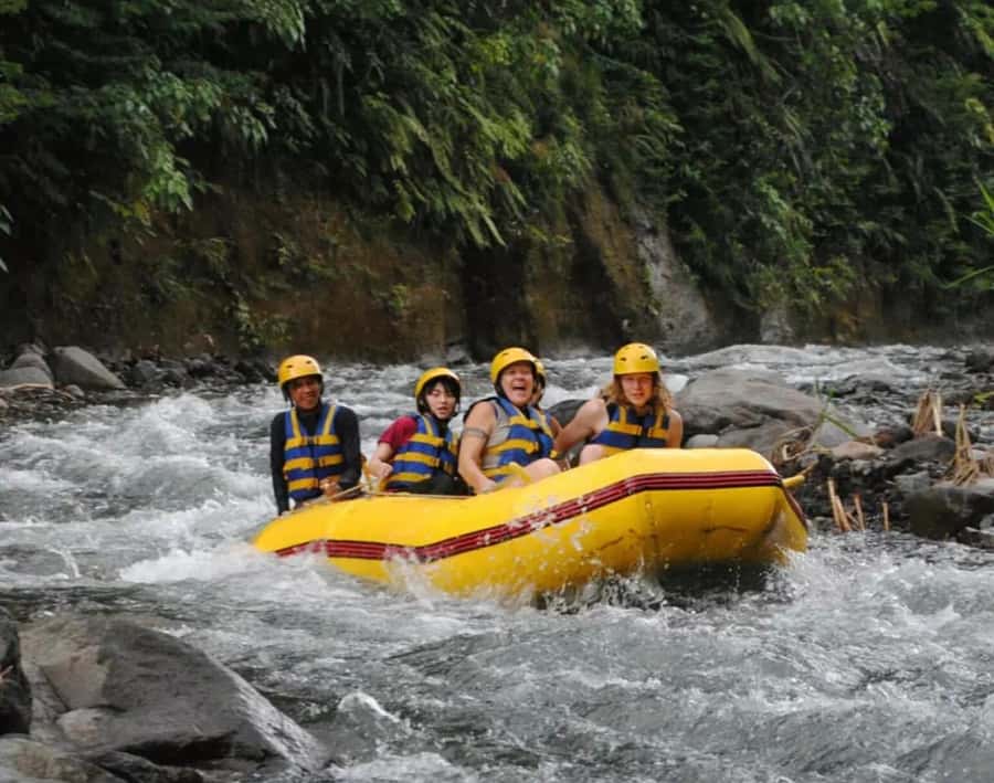 Bali: Telaga Waja River Rafting Small-Group Tour with Lunch - Who This Tour Fits Best, and Who Should Skip It
