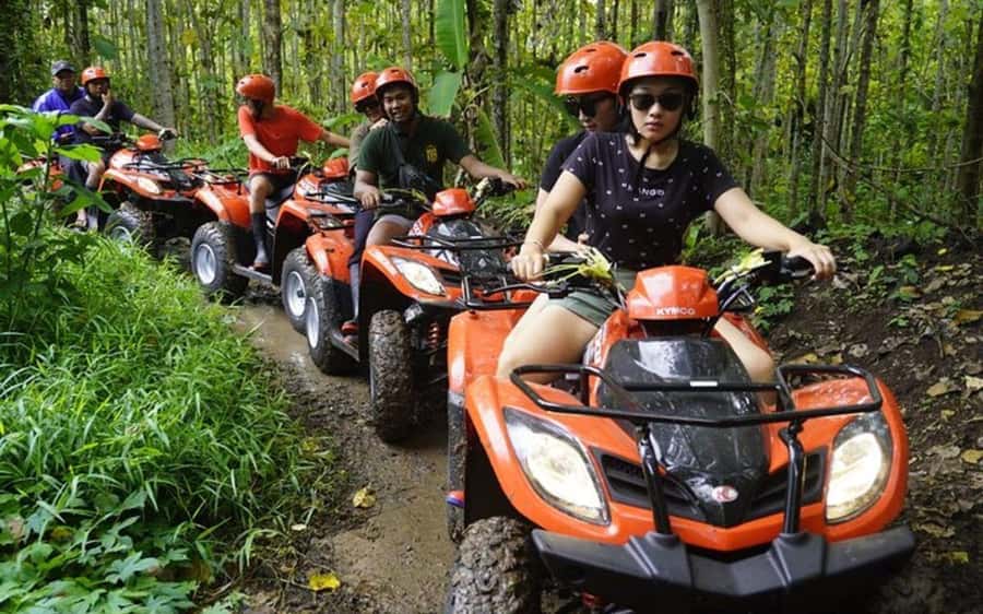 Bali: Telaga Waja White Water Rafting And ATV Quad Adventure - Key highlights at a glance