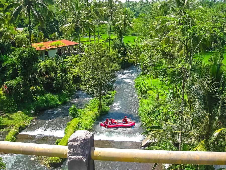 Bali: Telaga Waja White Water River Guided Rafting & Lunch - How Hard Is It Really? Rapid Intensity, Wetness, and the Reality Check