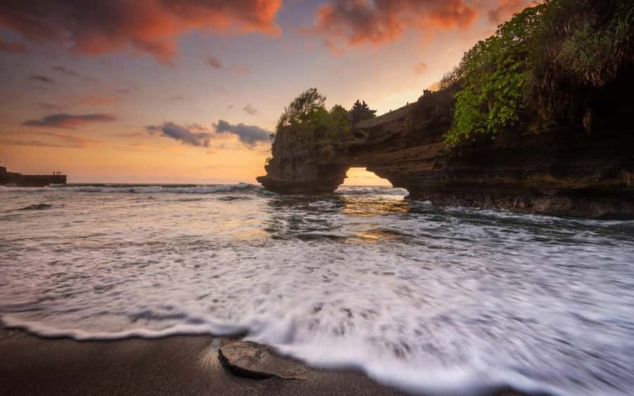 Bali: Temple Lake, Jungle Waterfall, Rice Field & Tanah Lot - Coffee plantation stop, a break that can be a learning moment
