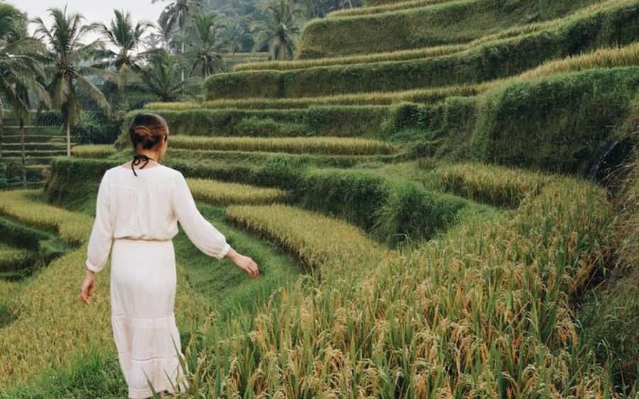 Bali: Temple Lake, Jungle Waterfall, Rice Field & Tanah Lot - Photos, respect, and getting the shot without making it awkward