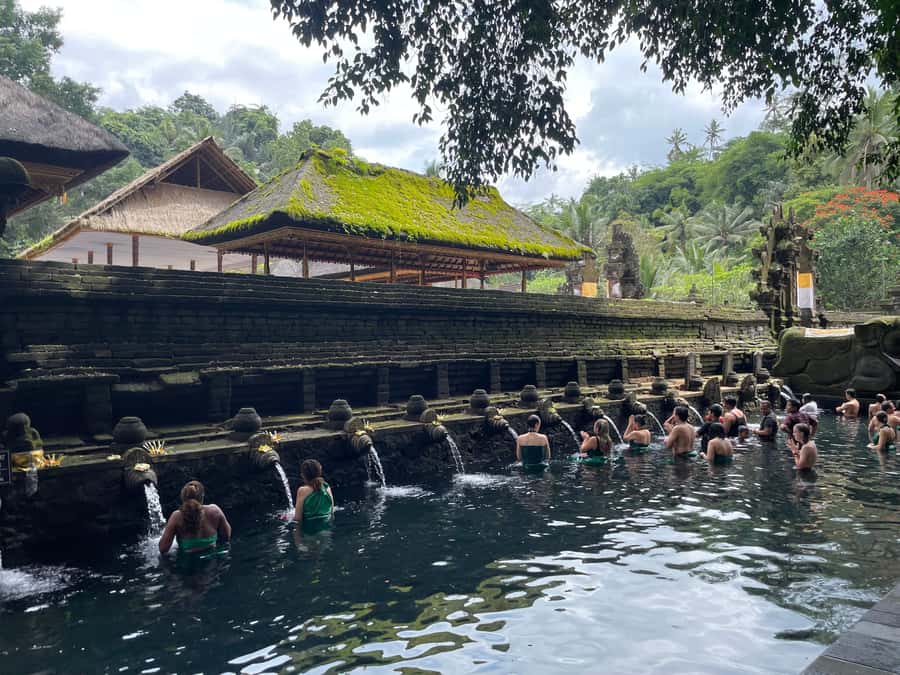 Bali: Tirta empul Temple, Rice terrace and Waterfall - Why this Ubud route works so well together